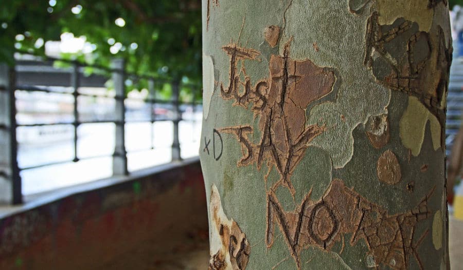 baum2 Nein zu sagen